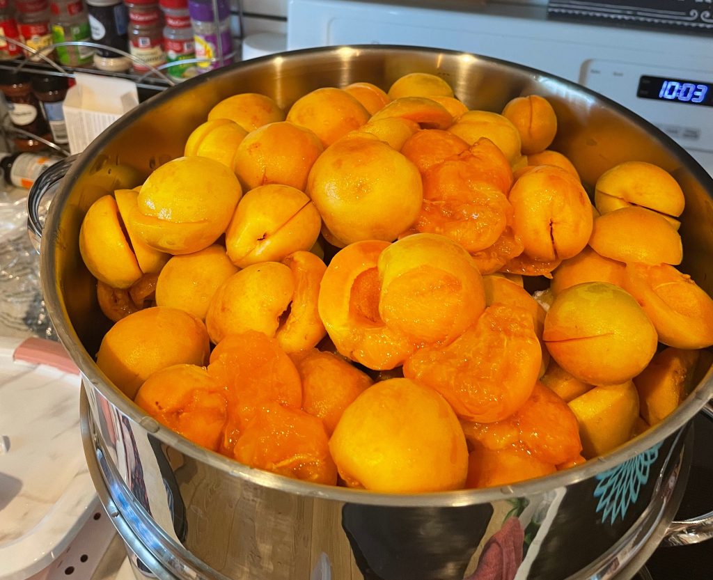 Making Apricot Nectar