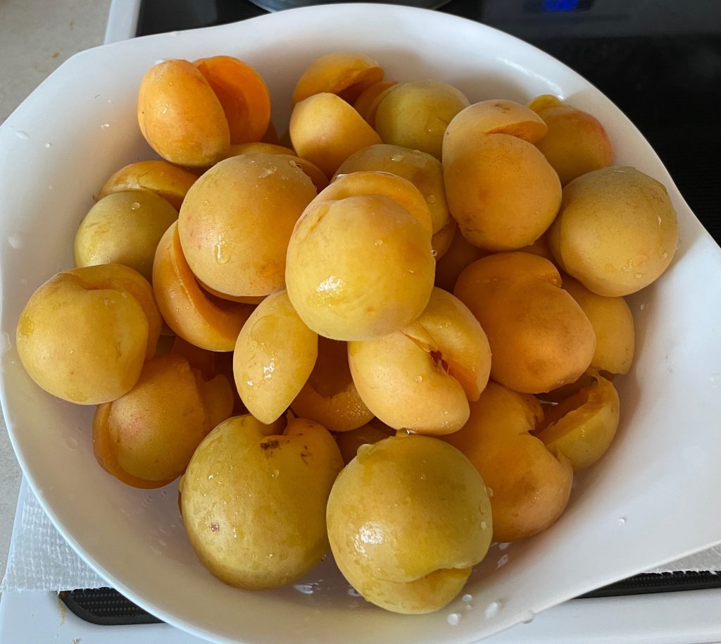 Prepping Apricots