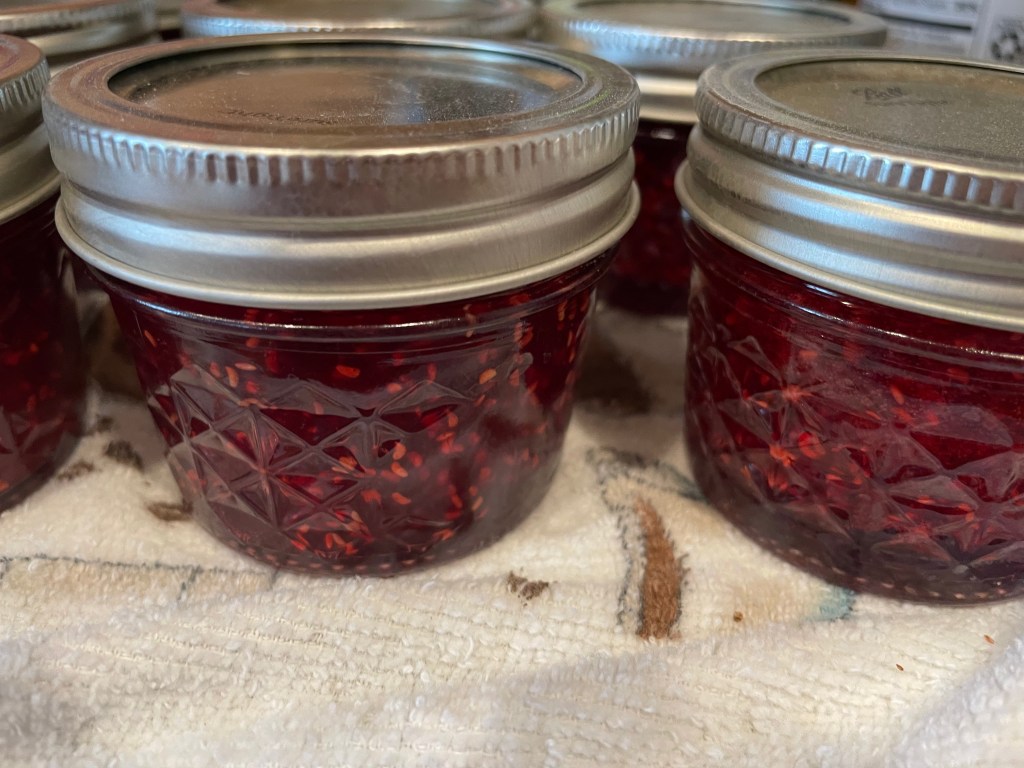 Raspberry Jam